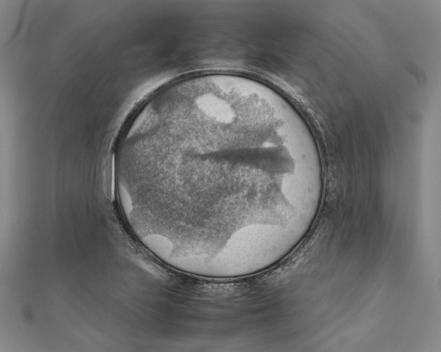 X0000111351223200908071126