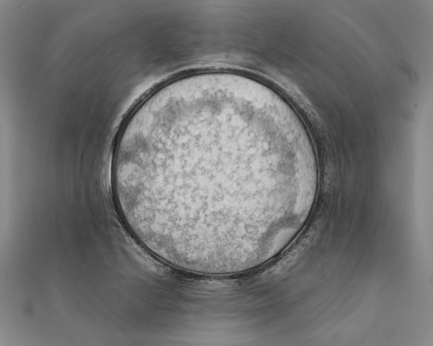 X0000111351224200908071126