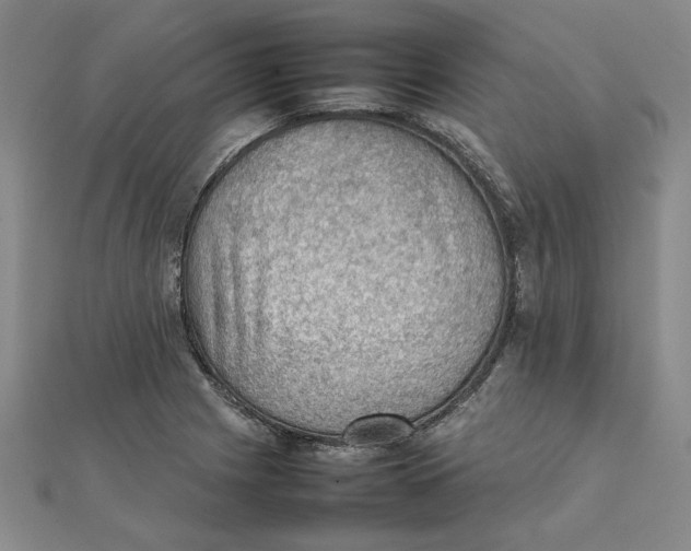 X0000111351225200908071126