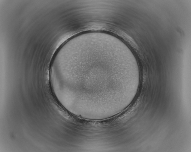 X0000111351226200908071126