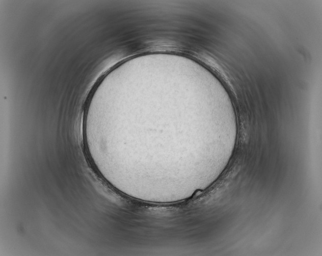 X0000111351227200908071126