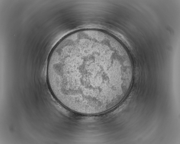 X0000111351228200908071126