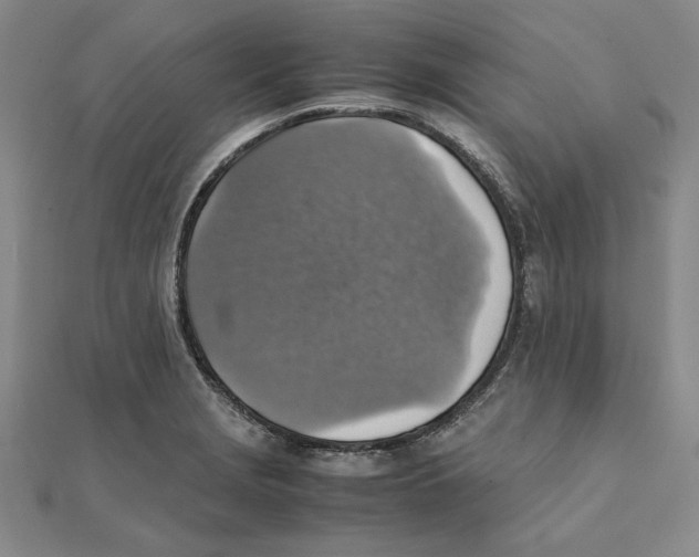 X0000111351229200908071126
