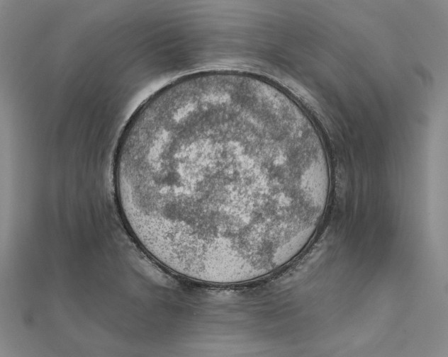 X0000111351230200908071126