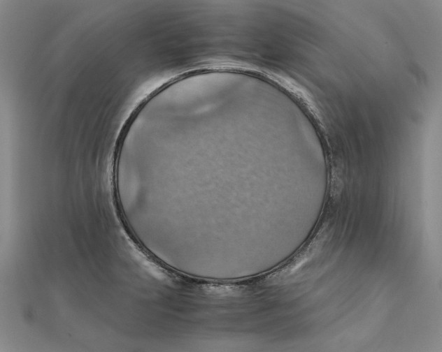 X0000111351231200908071126