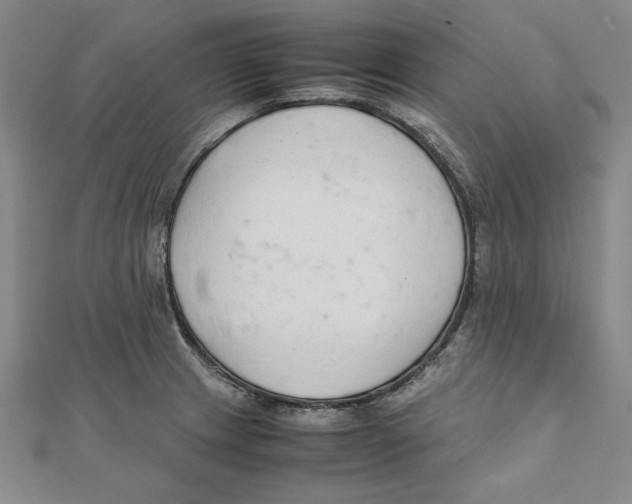 X0000111351233200908071126