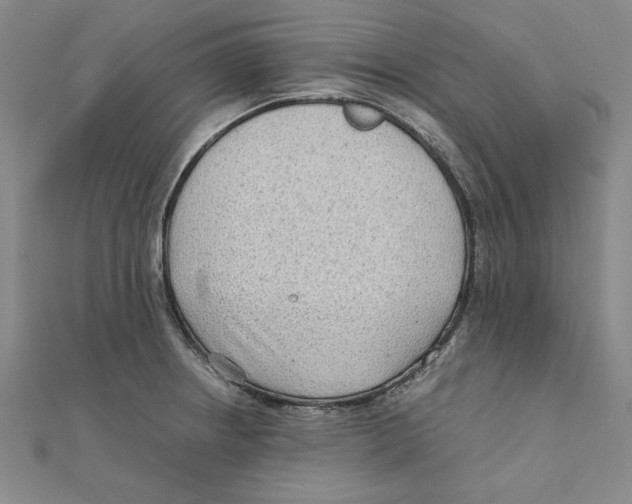 X0000111351234200908071126