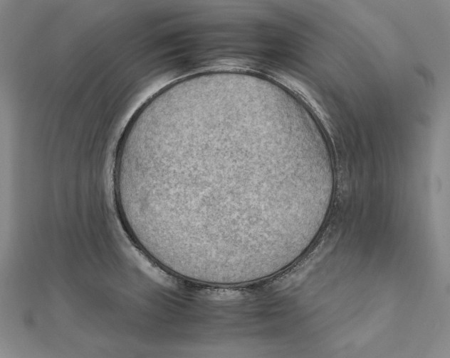X0000111351235200908071126