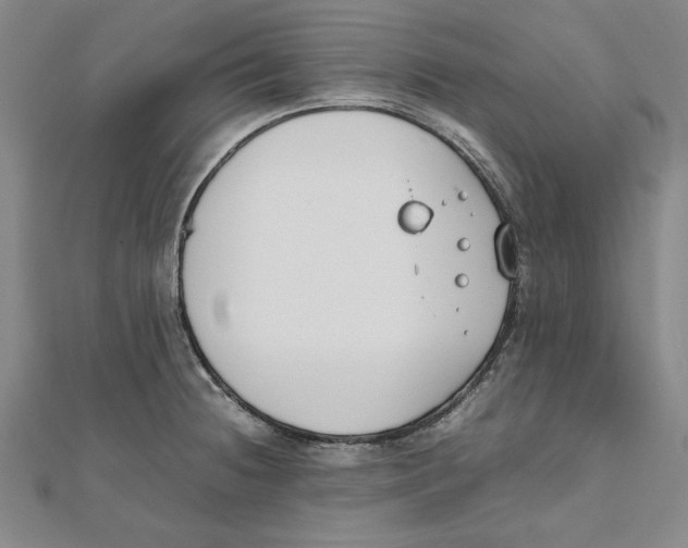 X0000111351236200908071126