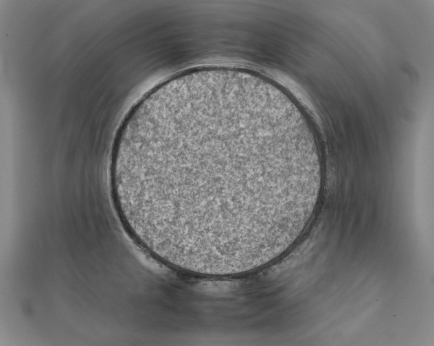 X0000111351237200908071126