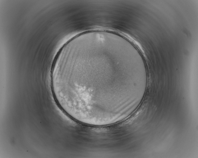 X0000111351239200908071126