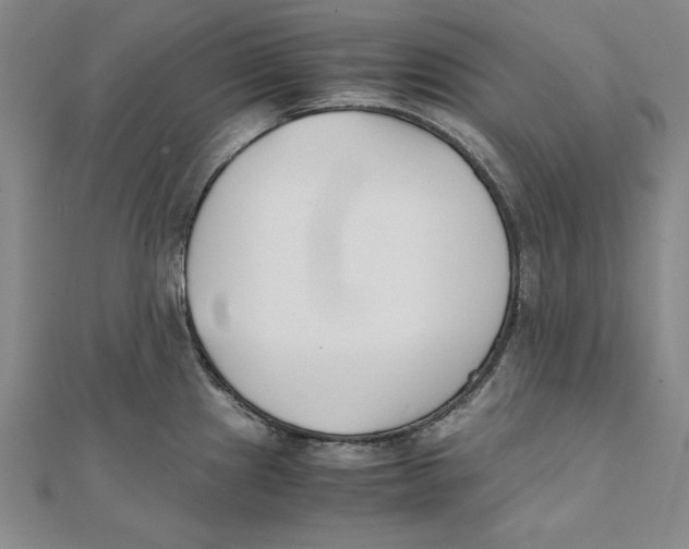 X0000111351241200908071126