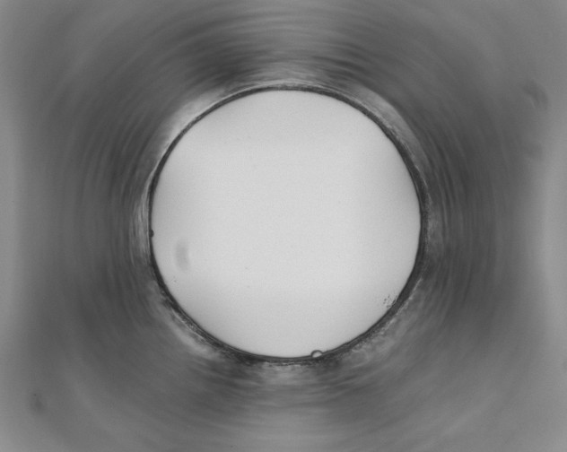 X0000111351242200908071126