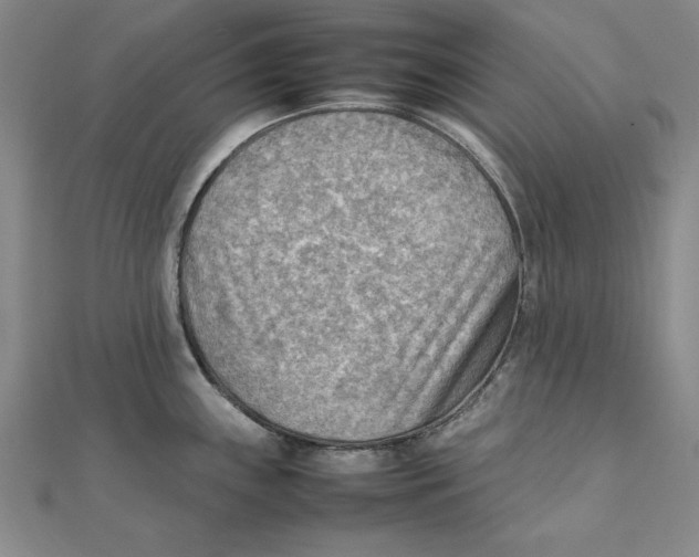 X0000111351243200908071126