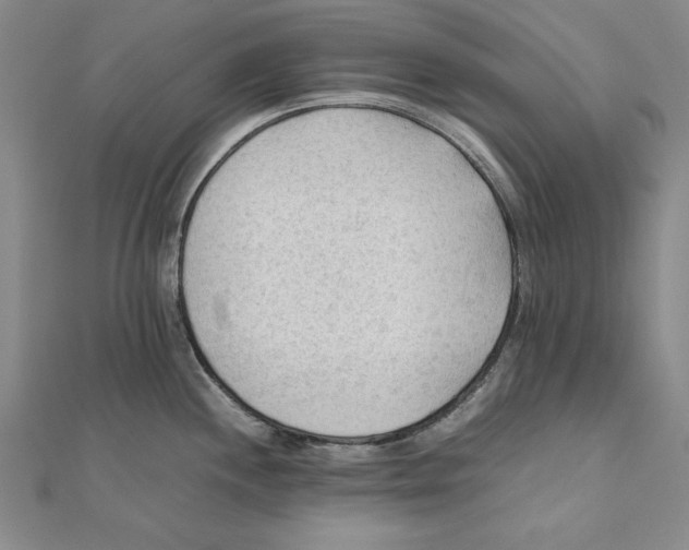 X0000111351244200908071126