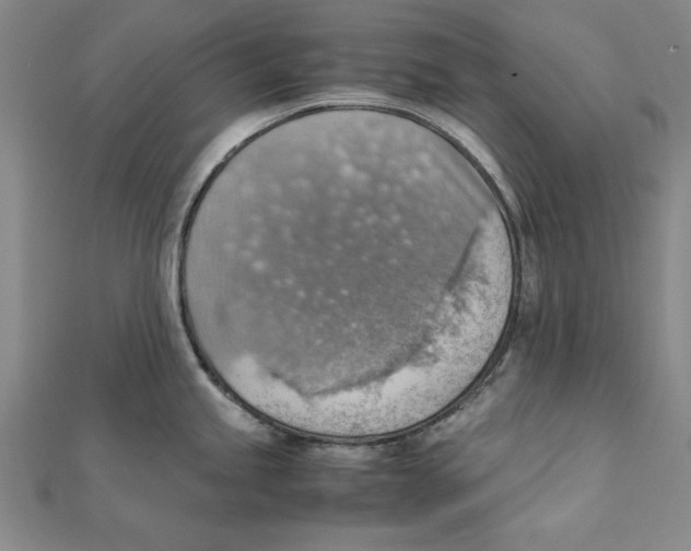 X0000111351245200908071126
