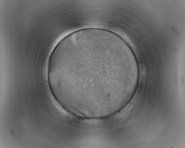 X0000111351246200908071126