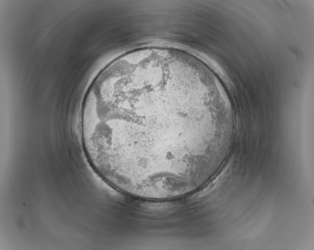 X0000111351247200908071126