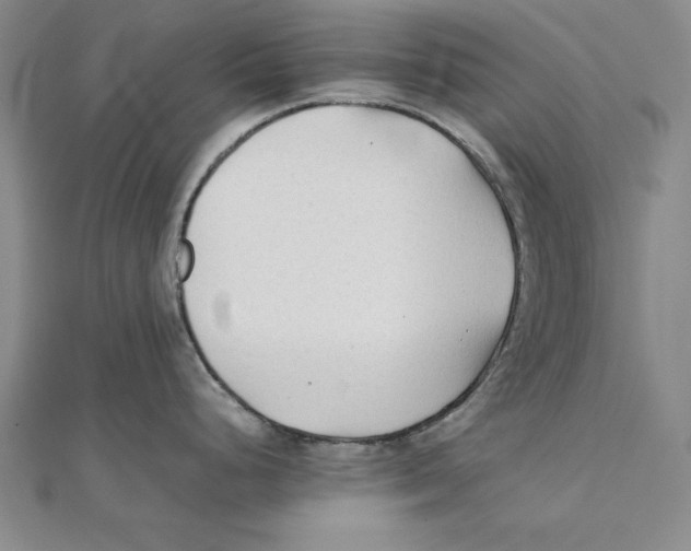 X0000111351248200908071126