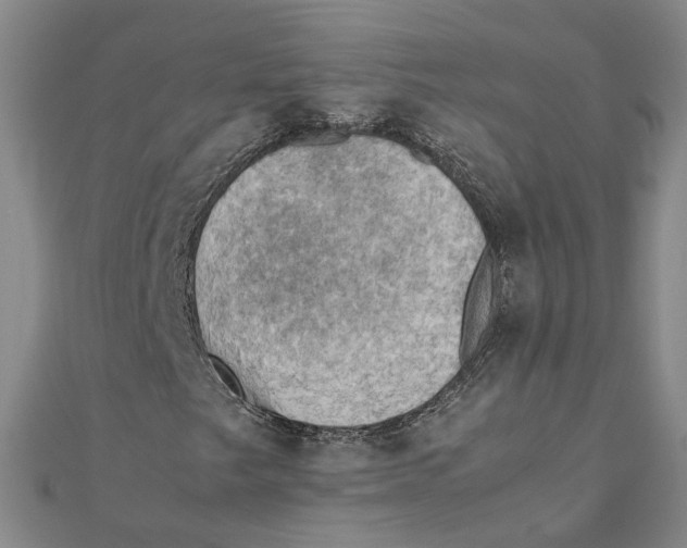 X0000111351249200908071126