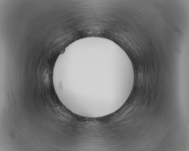 X0000111351250200908071126