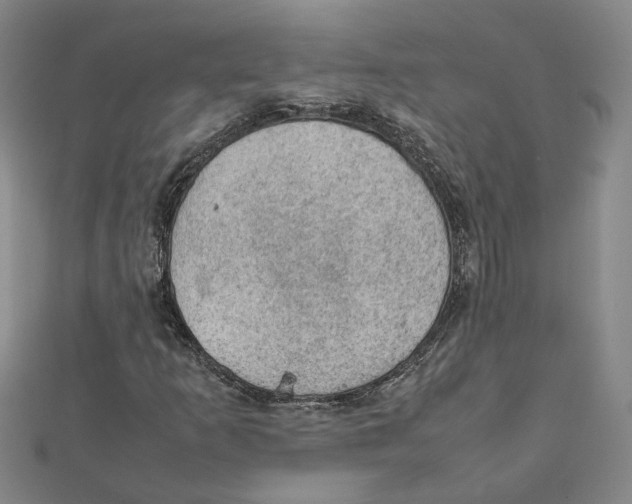 X0000111351253200908071126