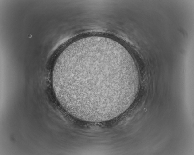 X0000111351255200908071125