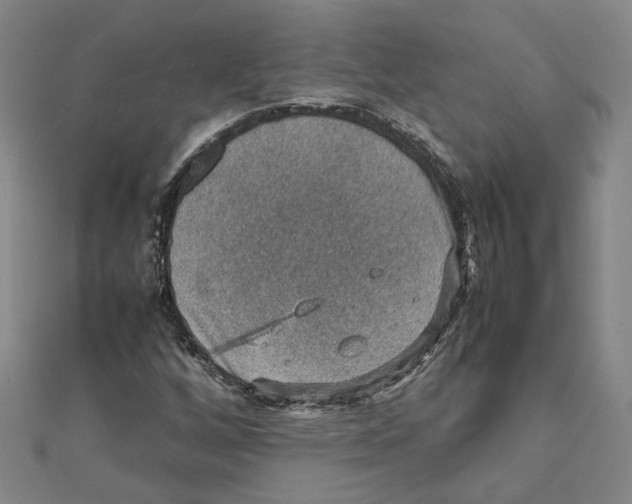 X0000111351256200908071125