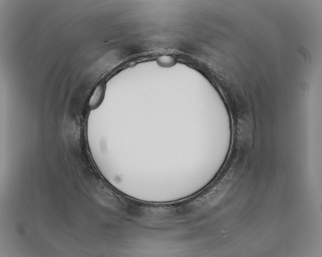 X0000111351257200908071125