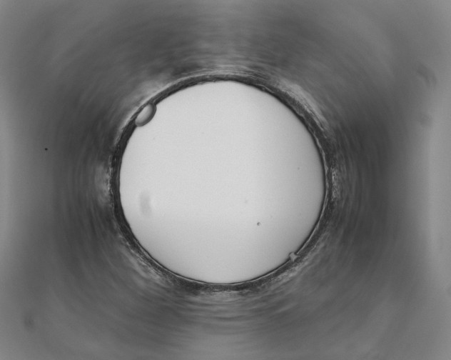 X0000111351260200908071125