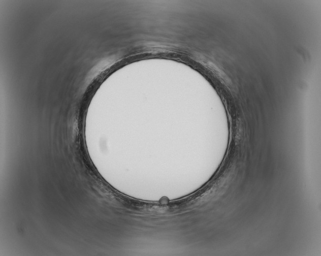 X0000111351261200908071125