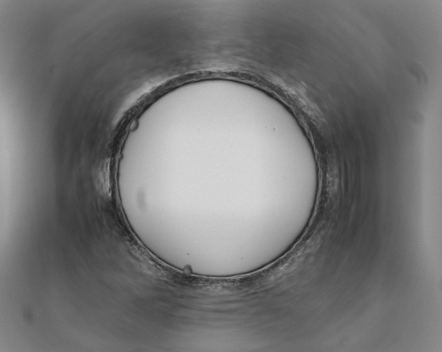 X0000111351262200908071125