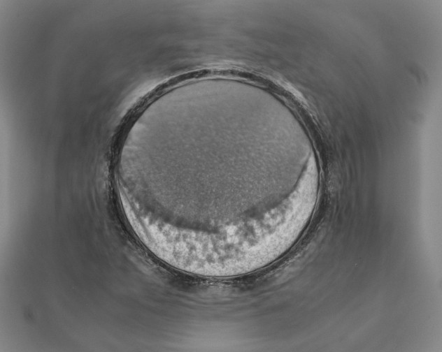 X0000111351263200908071125