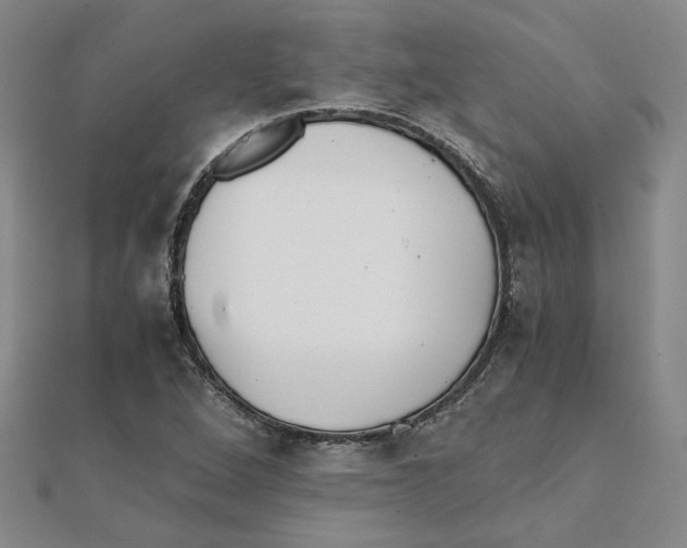 X0000111351264200908071125