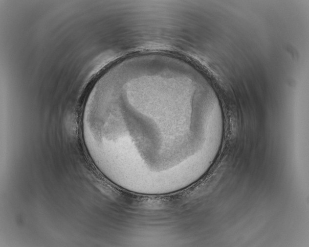 X0000111351266200908071125