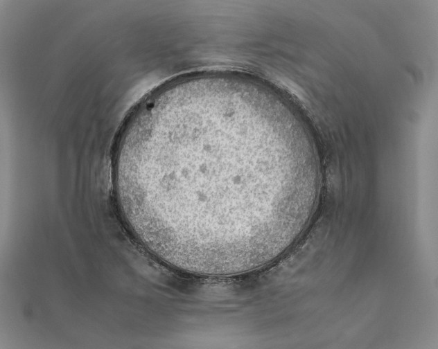 X0000111351267200908071125