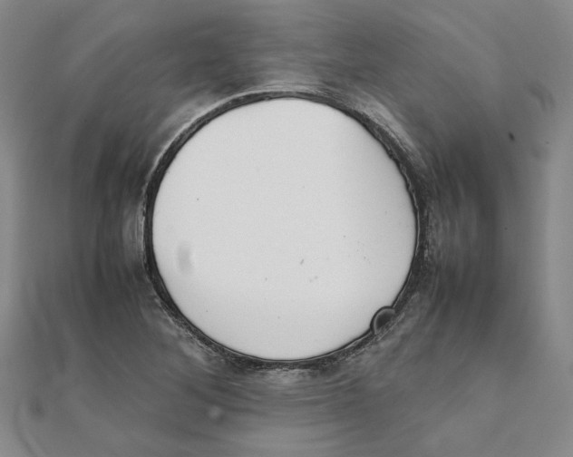 X0000111351268200908071125