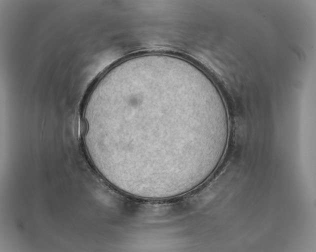 X0000111351269200908071125