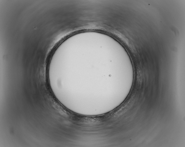 X0000111351270200908071125