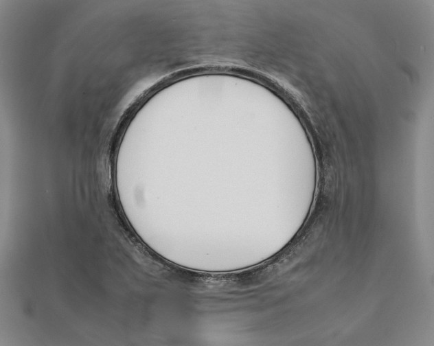 X0000111351271200908071125