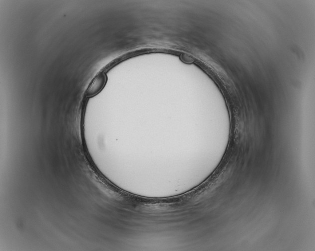 X0000111351272200908071125