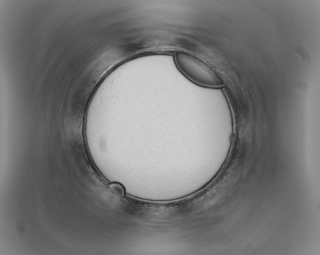 X0000111351273200908071125