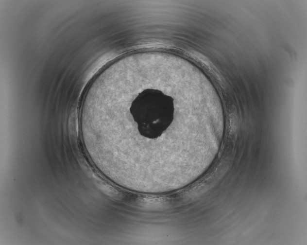 X0000111351274200908071125