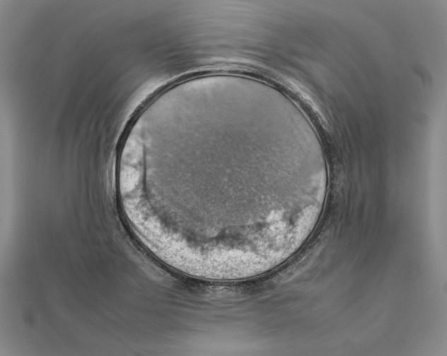 X0000111351275200908071125