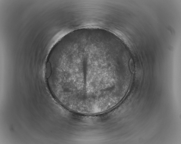 X0000111351277200908071125