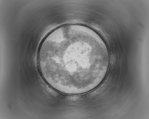 X0000111351278200908071125