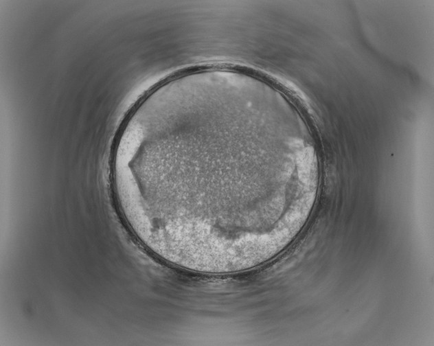 X0000111351279200908071125