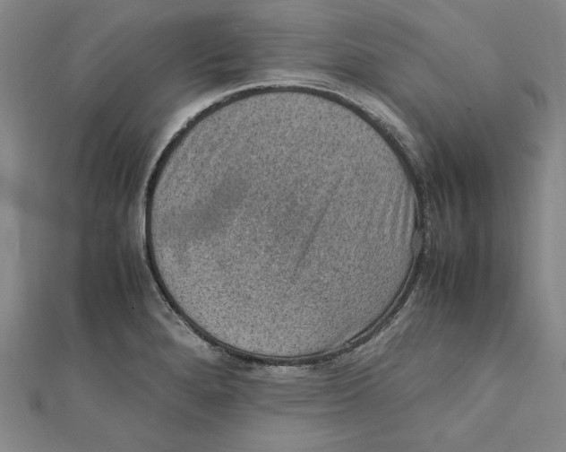 X0000111351280200908071125