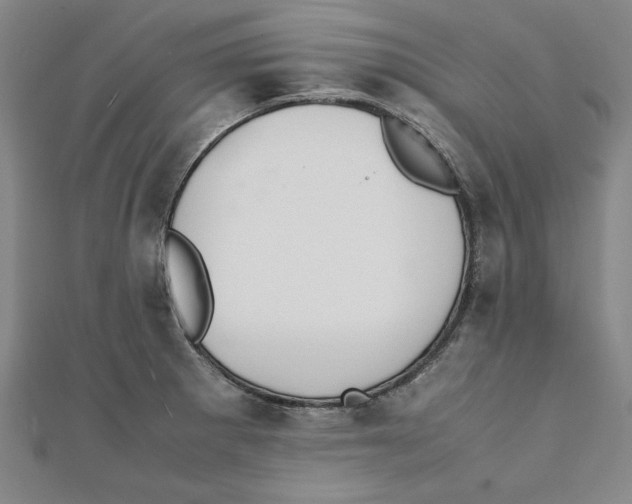 X0000111351281200908071125