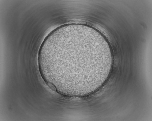 X0000111351283200908071125